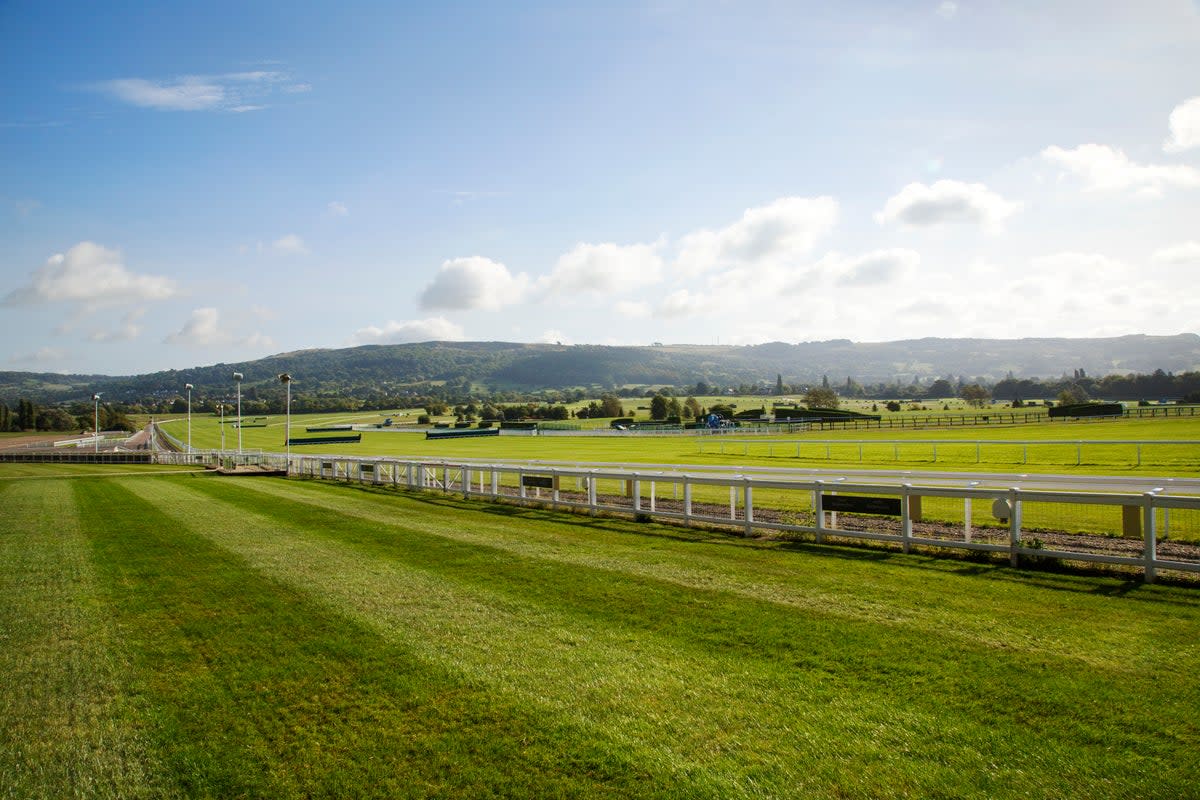 Hooves, bookies and punters will hit the racecourse tomorrow   (Getty Images/iStockphoto)