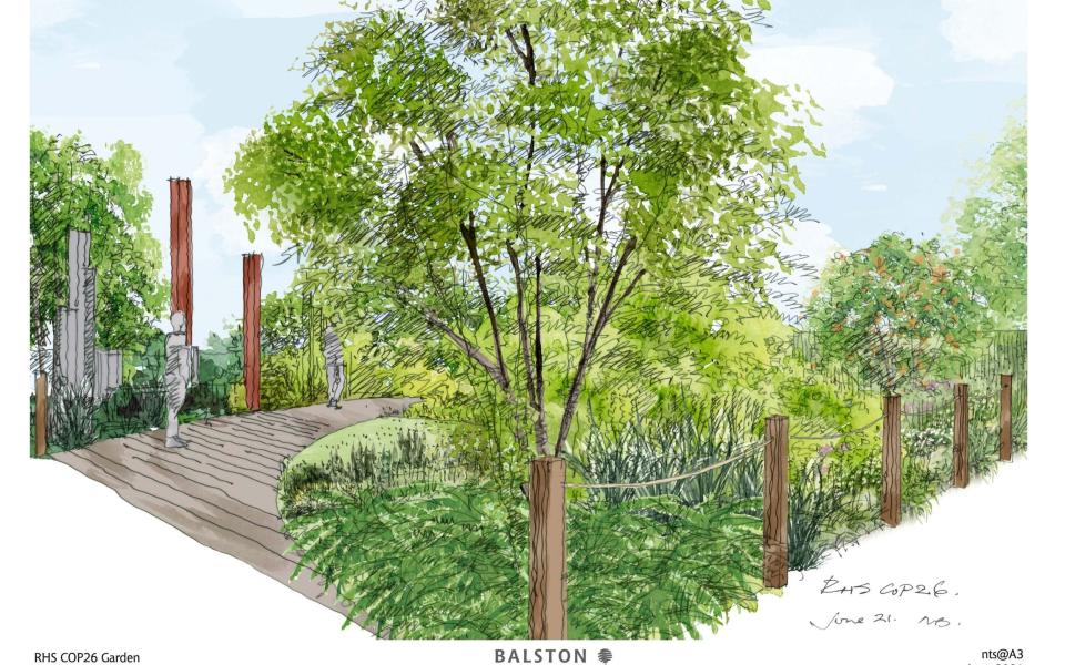 Dedicated to climate change: the RHS Cop26 garden designed by Marie Louise Agius - Marie Louise Agius 