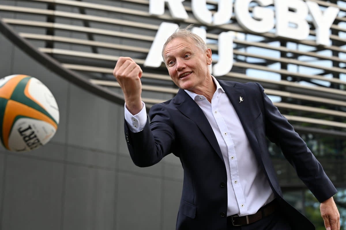 Joe Schmidt has made three changes to his side (AFP via Getty Images)