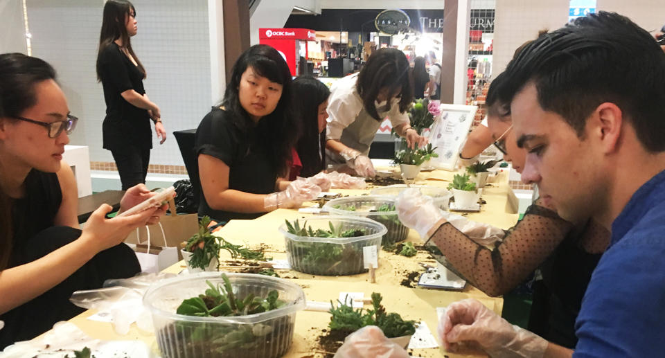 The inaugural Singapore Tea Festival at ION Orchard