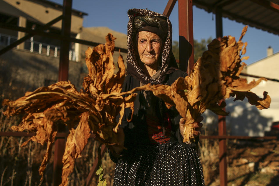 Ayse Gunduzalp, 75, holds dried tobacco leaves during the harvest season in Kurudere village, Adiyaman province, southeast Turkey, Tuesday, Sept. 27, 2022. Official data released Monday Oct. 3, 2022 shows consumer prices rise 83.45% from a year earlier, further hitting households already facing high energy, food and housing costs. Experts say the real rate of inflation is much higher than official statistics, at an eye-watering 186%. (AP Photo/Emrah Gurel)