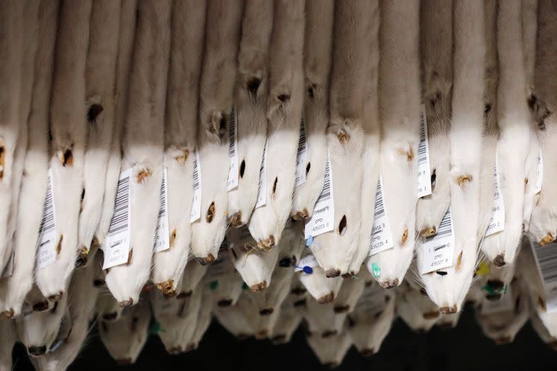 Labeled mink pelts are seen in storage at Kopenhagen Fur in Glostrup