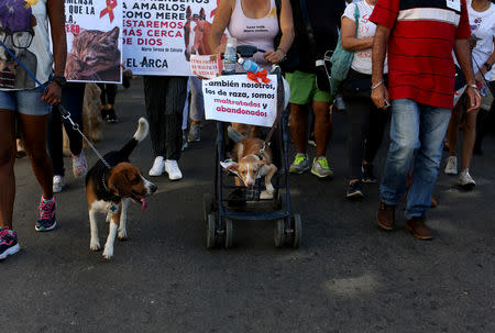 People and their pets participate in a march in defence of animal rights, in Havana, Cuba April 7, 2019. REUTERS/Fernando Medina NO RESALES. NO ARCHIVES