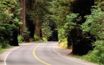 <p>The supermodel of American highways, 101 is renowned for its stunning vistas, but to truly see the Redwoods,Litten suggestsgetting off the main drag. He recommended adetour along the <a rel="nofollow noopener" href="https://www.google.com/maps/place/Newton+B.+Drury+Scenic+Pkwy,+Orick,+CA+95555/@41.4039099,-124.1689711,11z/data=!4m5!3m4!1s0x54d100fd0c335fb3:0xed36dff714b3ed67!8m2!3d41.4039099!4d-124.02889" target="_blank" data-ylk="slk:Newton B. Drury Scenic Parkway;elm:context_link;itc:0;sec:content-canvas" class="link ">Newton B. Drury Scenic Parkway</a>, as charming as its name suggests.</p><p>Its an absolutely glorious 10-mile stretch of narrow road going through the old-growth redwoods. Theres nothing but the big trees, and no other development.</p><p>Best of all, there are walks for any level of accessibility, he promises, whether a five-minute walk or a five-hour hike, at various points along the way.</p>