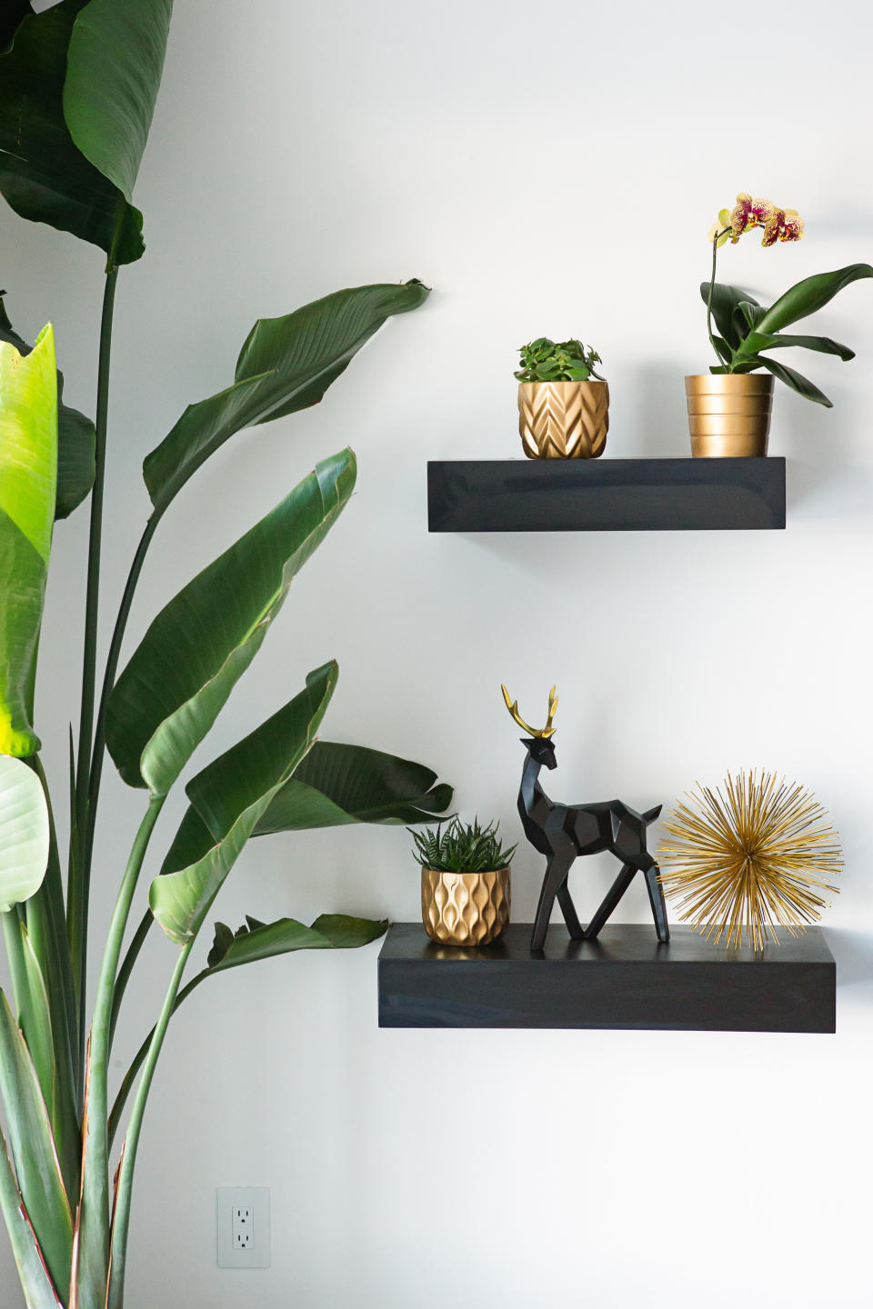 Floating shelves with plants