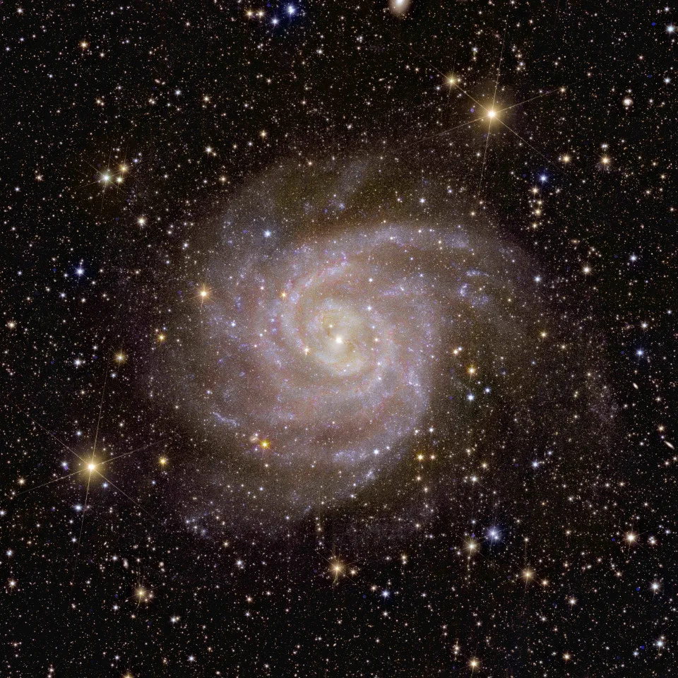 Euclid spacecraft's view of the spiral galaxy IC 342