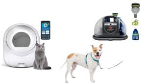 amazon early pet deals