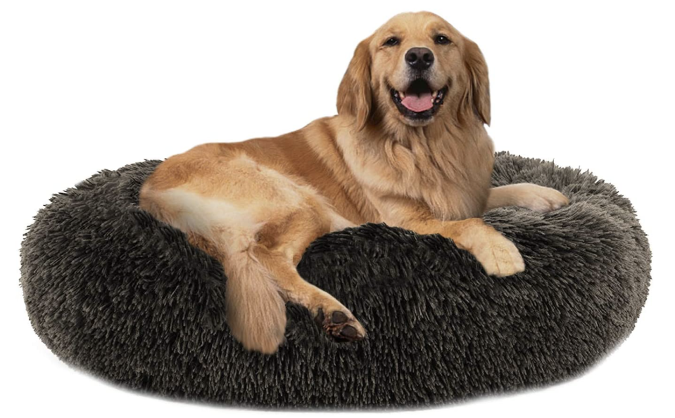 Your pup will love this donut bed. (Photo: Amazon)