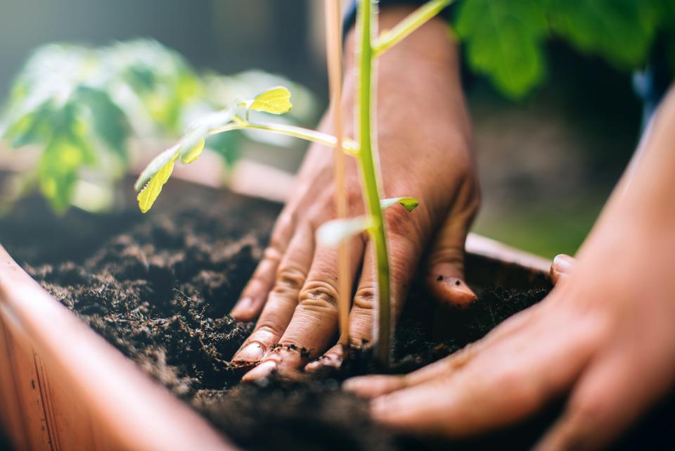 Woman planting in soil