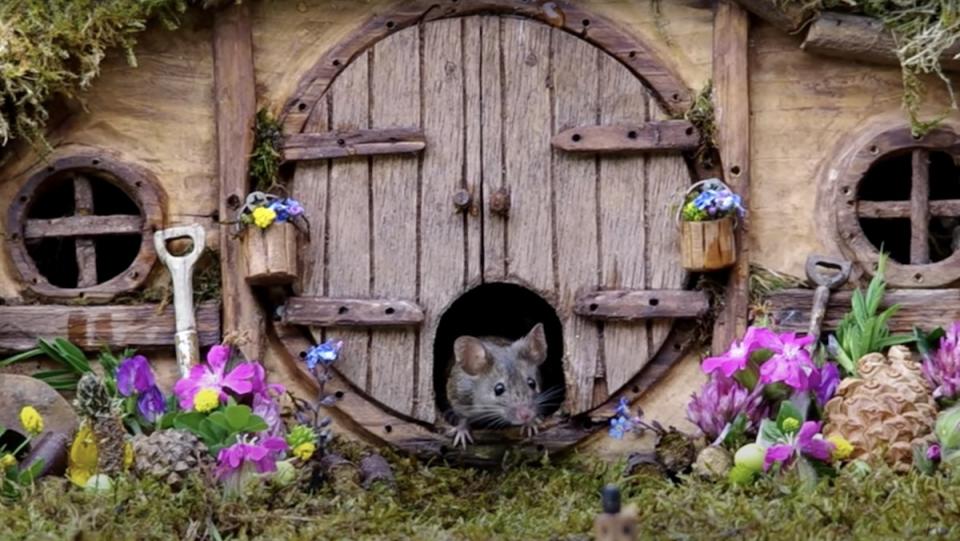 A mouse exits the door of a mini replica Hobbit house from The Lord of the Rings