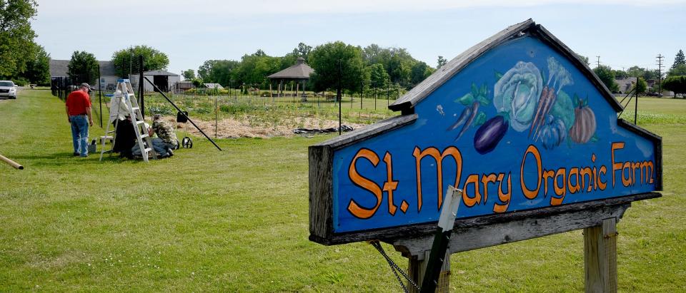 A seven foot fence was installed around St. Mary's Organic Farm garden behind the IHM this past weekend.