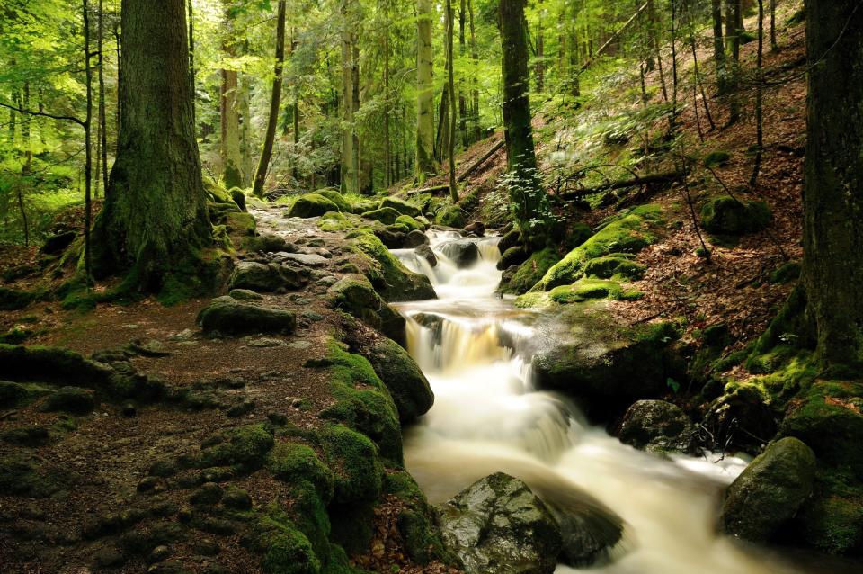 Gertelbach Wasserfälle, Baden-Württemberg. - Copyright: picture alliance / orion/Shotshop | orion