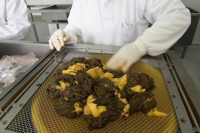 Uruguay was the world's eighth-biggest caviar producer last year, selling seven tonnes