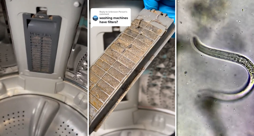 Stills from the TikTok video showing a washing machine filter and a worm.