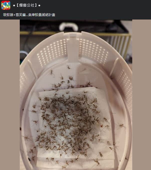 網友分享靠「吸蚊器+雪芙蘭」，可以達到滅絕蚊蟲的效果。（圖／翻攝自爆廢公社）