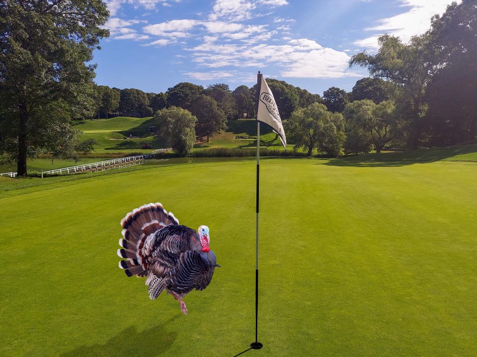 Don't expect to play golf with turkeys like this computer-generated one but you can win a turkey at Blue Rock's tournament.