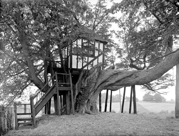 <span style="font-family: Theinhardt, -apple-system, BlinkMacSystemFont, &quot;Segoe UI&quot;, Roboto, Oxygen-Sans, Ubuntu, Cantarell, &quot;Helvetica Neue&quot;, sans-serif;">Photographed here in 1959 is one of the world’s oldest tree houses, at Pitchford Hall, built during a period when they were particularly popular; even Queen Elizabeth I was reported to have dined in one. It was built for Adam Otley, a wool merchant from Shrewsbury.</span>