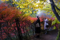 People wearing face masks to help curb the spread of the coronavirus take pictures while walking along a path as the trees begin to change fall foliage colors Monday, Oct. 26, 2020, in Nagano, northwest of Tokyo, Japan. (AP Photo/Kiichiro Sato)