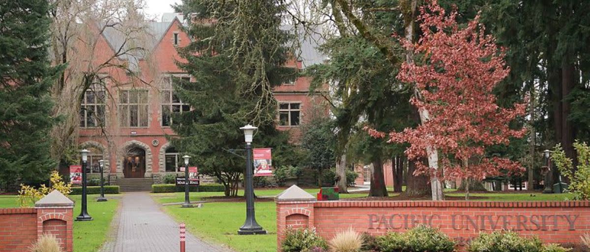 Firefighters dramatically rescue college freshman stuck in tree