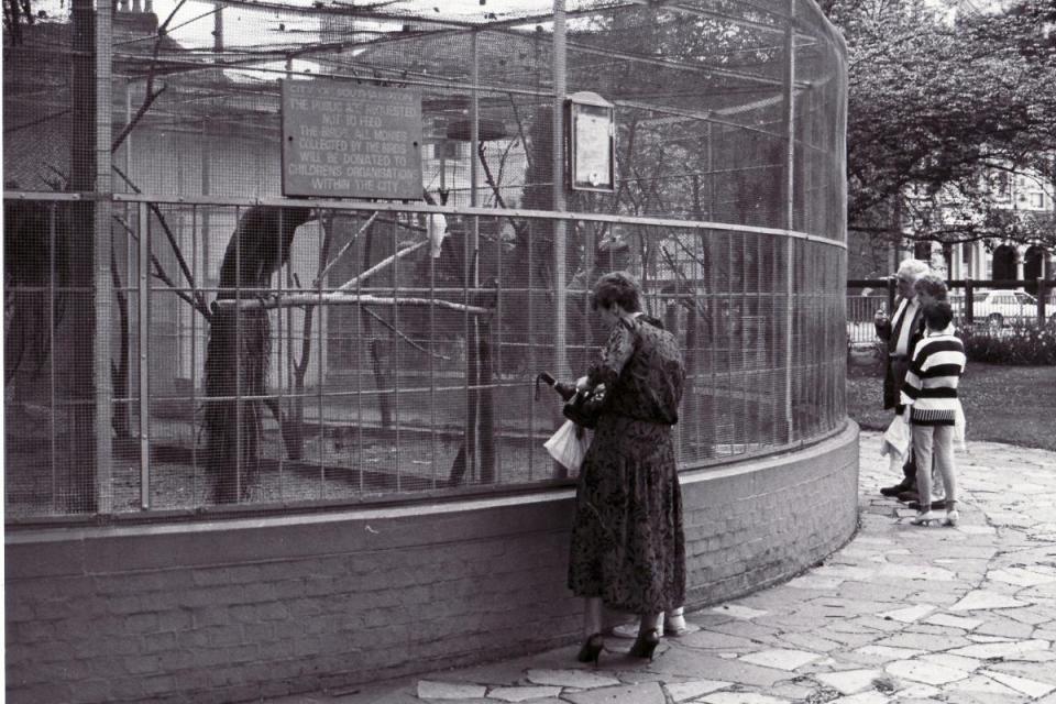 Southampton bird aviary