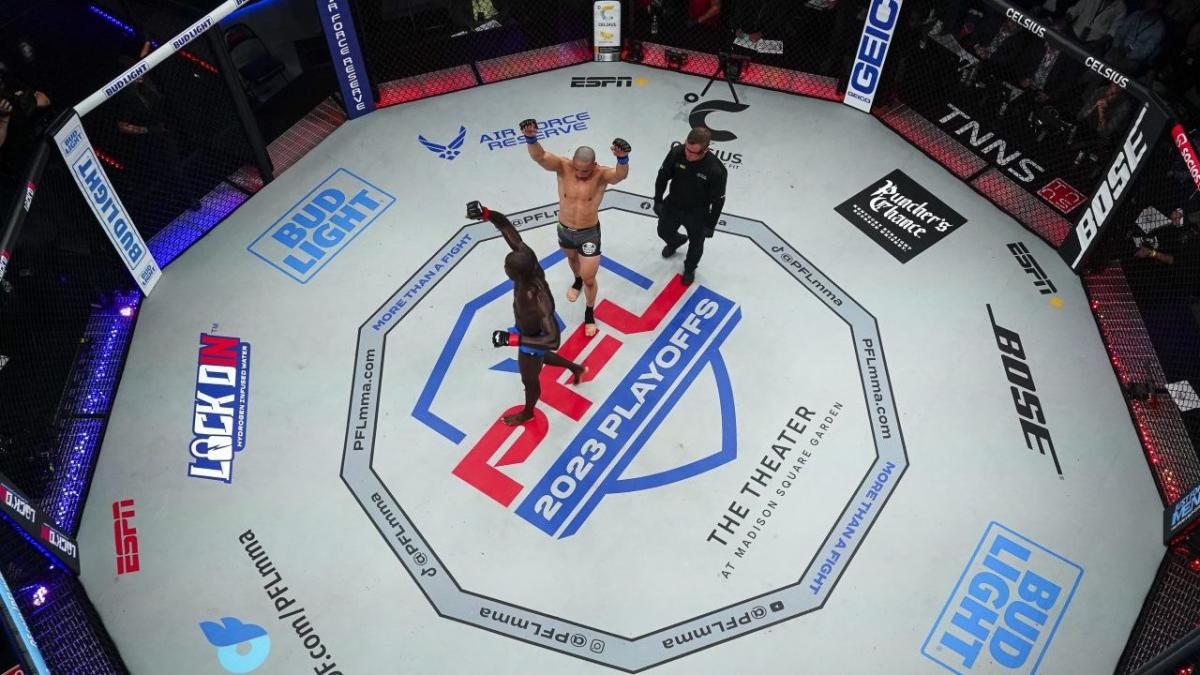 Saudi Arabia's SRJ Sports Buys Stake in Professional Fighters League MMA  Circuit - Bloomberg