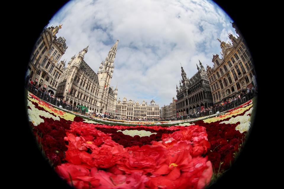 FOTOS | México protagoniza tradicional alfombra floral gigante de Bruselas