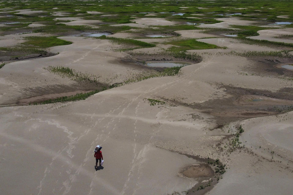 FILE - A resident of a riverside community carries food and containers of drinking water after being distributed due to the ongoing drought in Careiro da Varzea, Amazonas state, Brazil, Oct. 24, 2023. Human-induced global warming was the primary driver of last year's severe drought in the Amazon that sent rivers to record lows, researchers said Wednesday, Jan. 24, 2024. (AP Photo /Edmar Barros, File)