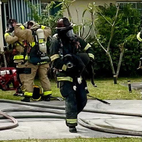 Palm Bay Fire Rescue said it received reports of the fire Tuesday afternoon on Emerson Drive.