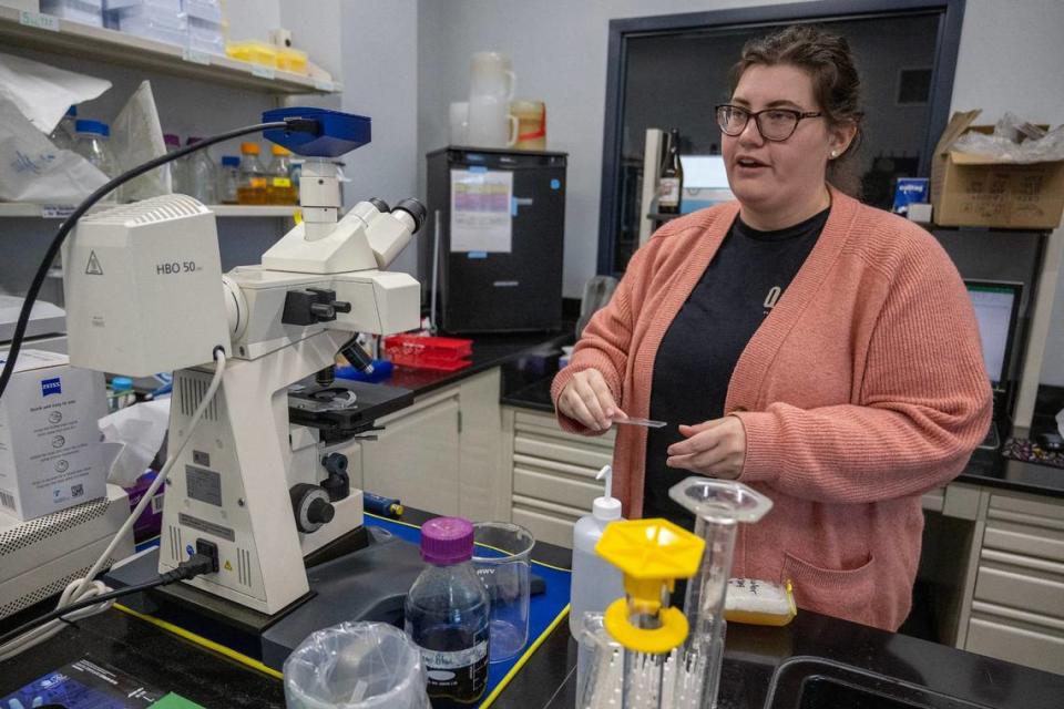 Microbiologist Michelle Williams at Boulevard uses a microscope to examine for any abnormal cellular changes within the beer.