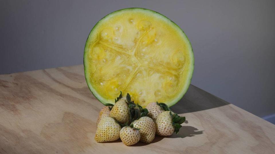 Yellow watermelon and white strawberries are among the unusual colors being marketed June 4, 2024.