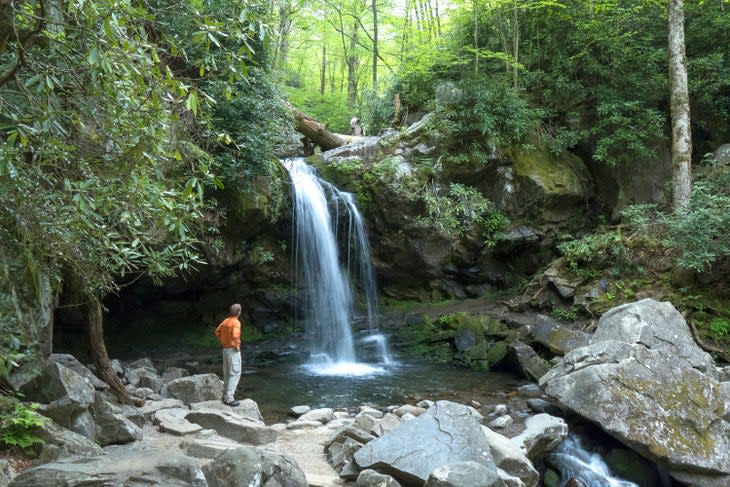 Grotto Falls on the Trillium Gap Trail in Great Smoky Mountains National Park
