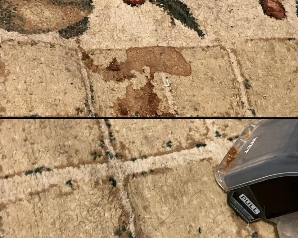 A before and after shot of a light beige rug with hot chocolate stain treated with Bissell Pet Stain Eraser Duo portable carpet cleaner