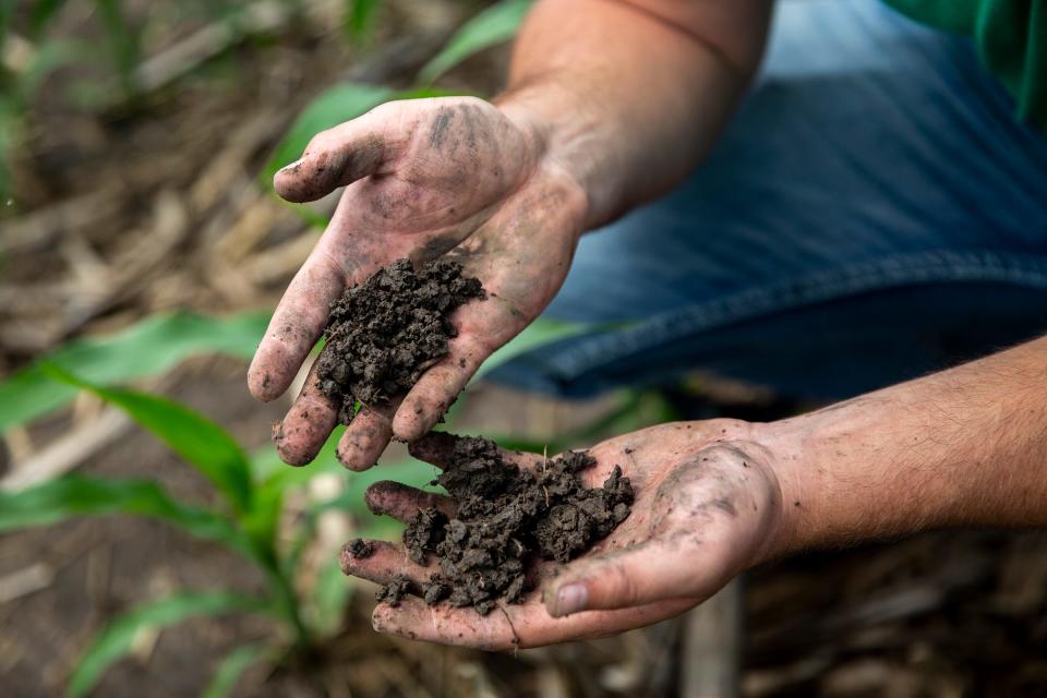 Mitchell Hora, a farmer in rural Washington who was photographed in June 2020, holds up two handfuls of soil from one of his cornfields, pointing out how healthy it is because of his use of cover crops and no tillage. Cover crops help the soil better absorb large rains and help keep the valuable dirt from eroding.