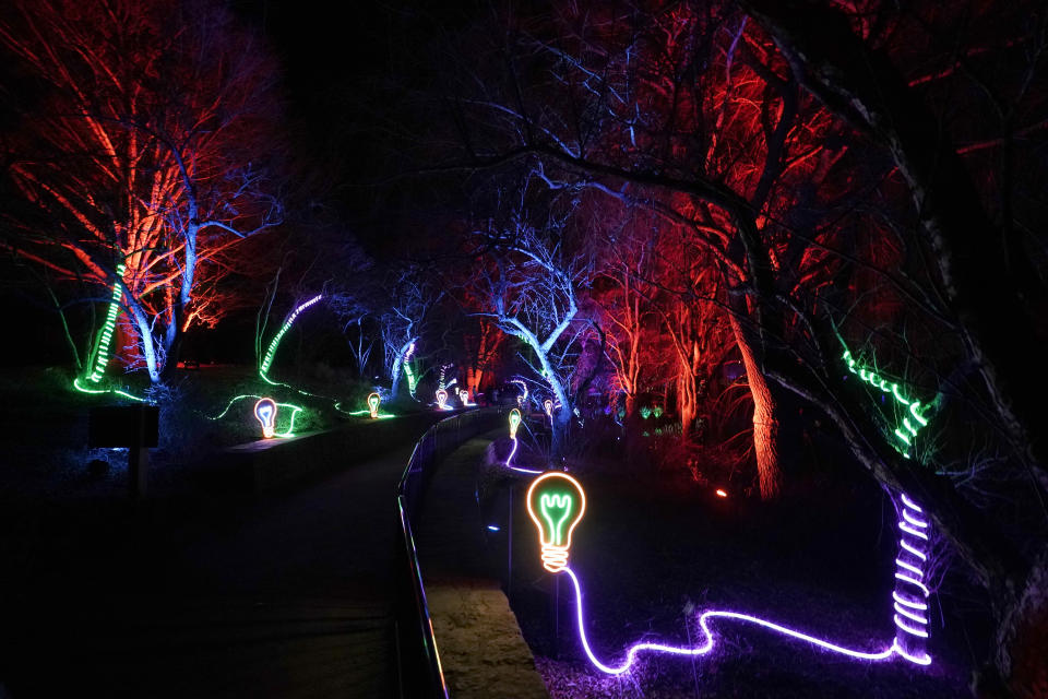 "Bright Ideas," created by Lee Fiskness and Travis Shupe, illuminates a section of the 1.3-mile path at the Chicago Botanic Garden's fifth annual Lightscape experience of light and music in Glencoe, Ill., on Thursday, Dec. 14, 2023. (AP Photo/Charles Rex Arbogast)