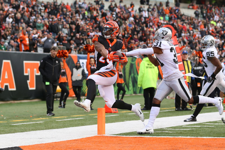 <p>Cincinnati Bengals running back Joe Mixon (28) carries the ball for a touchdown during the game against the Oakland Raiders and the Cincinnati Bengals on December 16th 2018, at Paul Brown Stadium in Cincinnati, OH. (Photo by Ian Johnson/Icon Sportswire via Getty Images) </p>