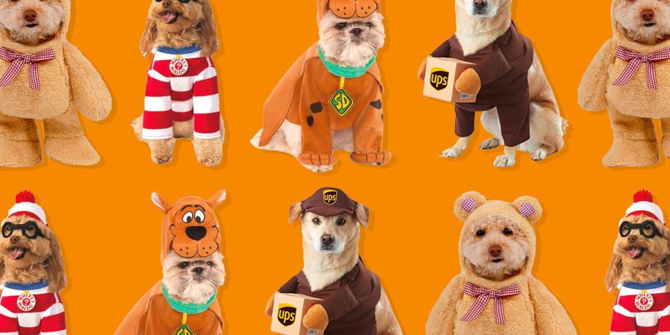 42 Funny Halloween Costumes That'll Make Your Dog Stand Out