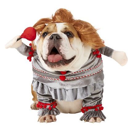 Get this <a href="https://fave.co/341FTd8" target="_blank" rel="noopener noreferrer">Rubie's Costume Company Penny Wise Dog &amp; Cat Costume for $14</a> (normally $26) at Chewy. It's available in sizes S-XL and has a cute wig.