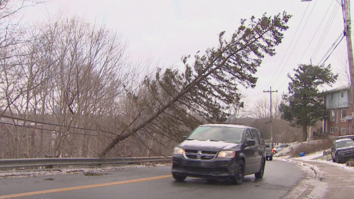 A toppled tree hangs over the road on Thursday in Nova Scotia. (CBC - image credit)