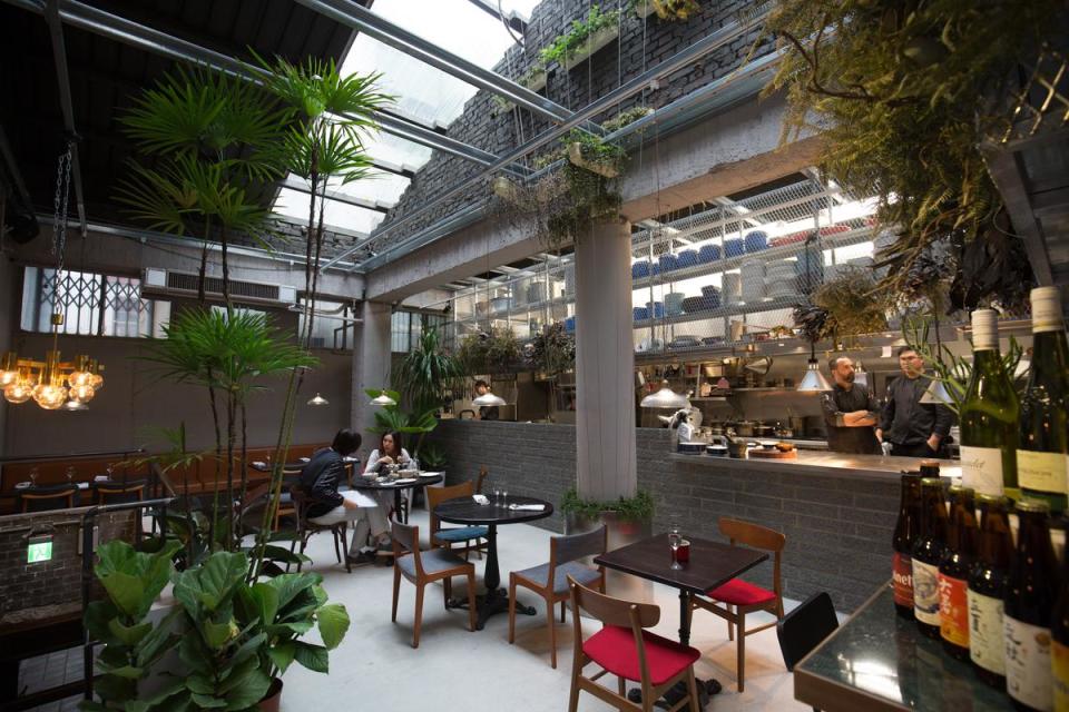 挑高6米、微露天光的設計與大量植栽，讓BeApe有如都市中的溫室，未來也將開闢酒吧空間。