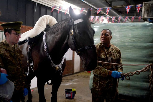 Princess Elizabeth Cup judging