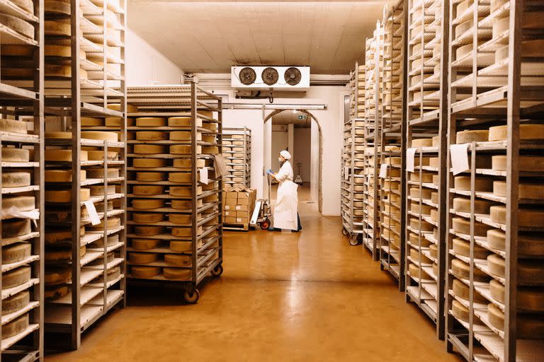 La fábrica de quesos La Casearia Carpenedo, en Camal, Italia. (Camilla Ferrari/The New York Times)


