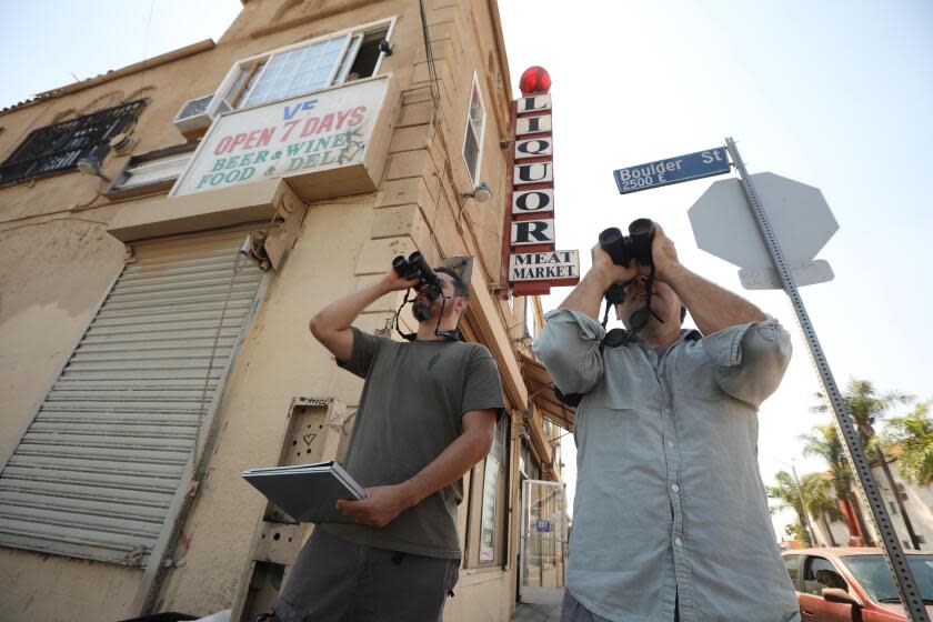 Christian Benitez and Eric Wood stand outside a liquor store on a residential corner in Boyle Heights searching for birds.