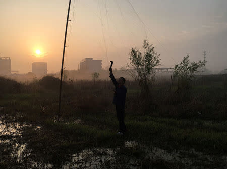 Twenty-six-year-old environmentalist Yue Hua uses a machete to dismantle an illegal mist net that are death traps for migratory and resident bird species, in Yingdong county, in Anhui province, China March 26, 2018. Picture taken March 26, 2018. REUTERS/James Pomfret