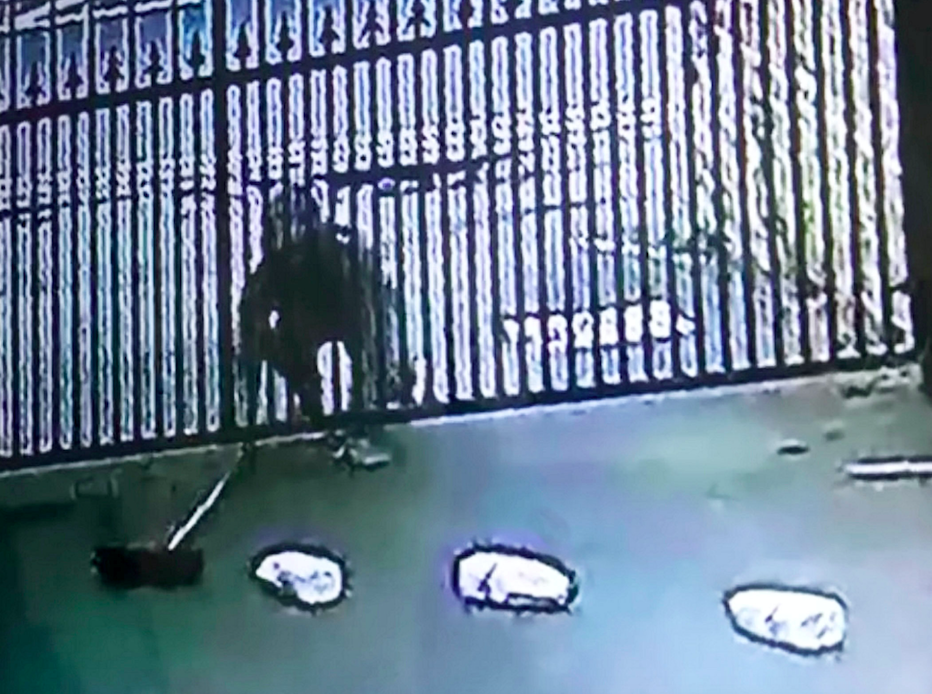 Footage showed the thief using a broom to snag milk bottles which she dragged under the locked metal gates before walking away. (SWNS)