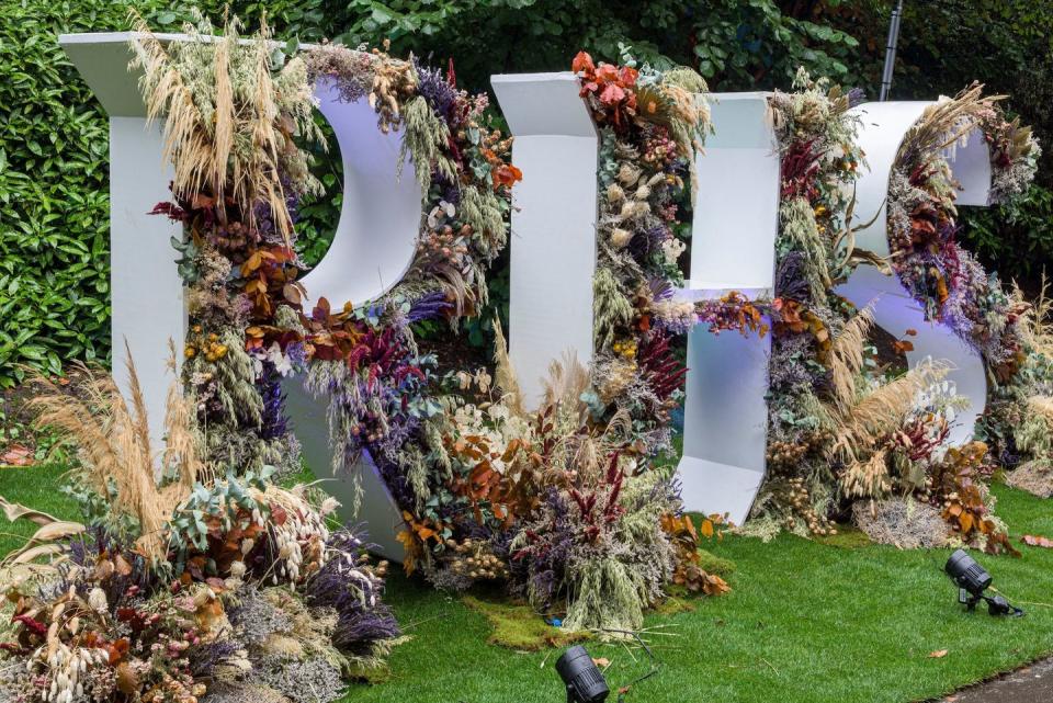 rhs chelsea flower show