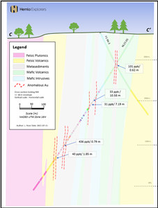 Figure 4: Section C-C'