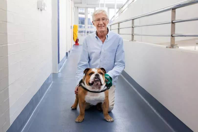 Paul O’Grady with Gary a Bulldog bulldog who desperately needs an operation as he’s struggling to breathe.