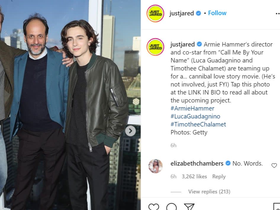 Elizabeth Chambers commented on a report that Armie Hammer’s former director is making a ‘cannibal love story’ filmScreenshot/Instagram
