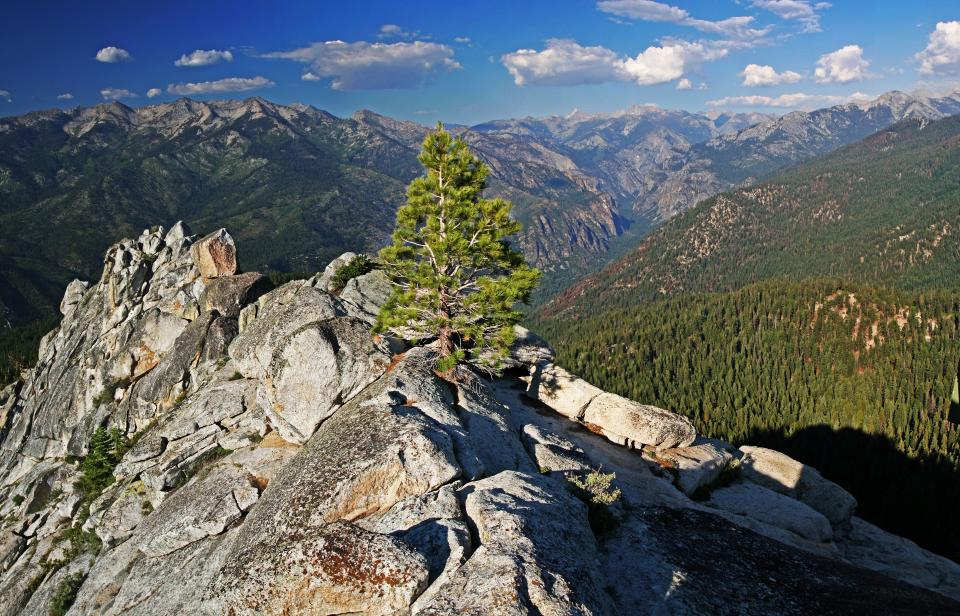 A view of Kings Canyon National Park, California, from Lookout Peak.