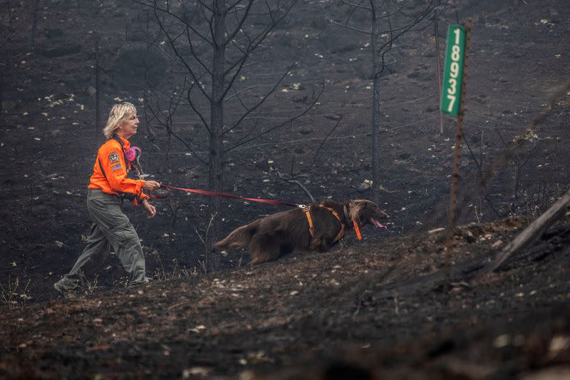 McKinney Fire Burns in California